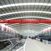 杭州天車(chē)廠家安裝維修保養(yǎng)