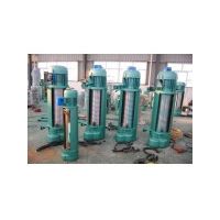 東莞專業(yè)生產電動葫蘆廠家