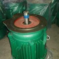 起重機電機優(yōu)質生產(chǎn)廠家減速機電機