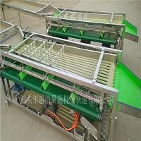 冬棗分級機 冬棗清洗機 冬棗風(fēng)干機 選棗機設(shè)備