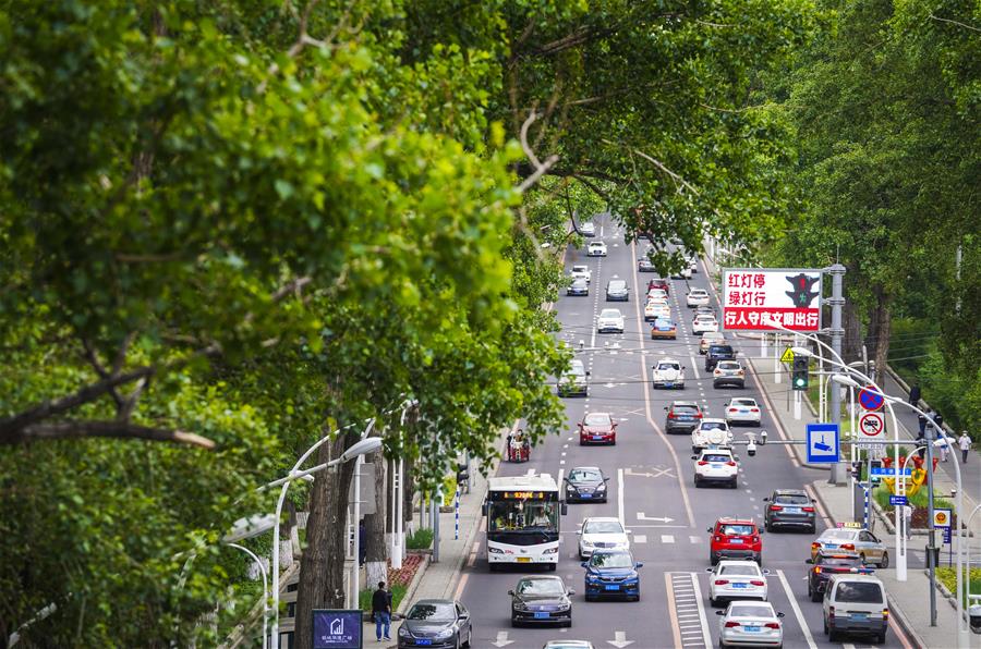 （環(huán)境）（4）長(zhǎng)春：城市&ldquo;綠妝&rdquo;