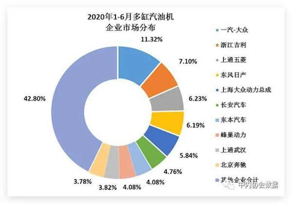 2020年1-6月多缸汽油機(jī)企業(yè)市場分布