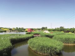 臨港濕地公園：“環(huán)?！薄邦佒怠奔嫒莶⑿?/></a>　　臨港生態(tài)濕地公園　　由天津港保稅區(qū)管委會(huì)作為執(zhí)行機(jī)構(gòu)的亞洲開(kāi)發(fā)銀行貸款項(xiàng)目天津海河河口地區(qū)污染控制與生態(tài)恢復(fù)項(xiàng)目近期完成貸款賬戶(hù)清戶(hù)，其中，濕地生態(tài)恢復(fù)子項(xiàng)目建設(shè)了63公頃臨港生態(tài)濕地公園(一期)，具備污水處理、生態(tài)恢復(fù)和景觀...<a href=