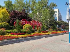 濟南天橋區(qū)黨建引領綠化先行 大力推進城市品質提升