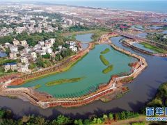 ?？诮瓥|新區(qū)生態(tài)修復(fù)