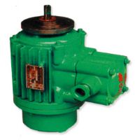 杭州起升電機(jī)廠家