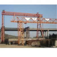 天津起重機(jī)-廠家直銷單梁起重機(jī)